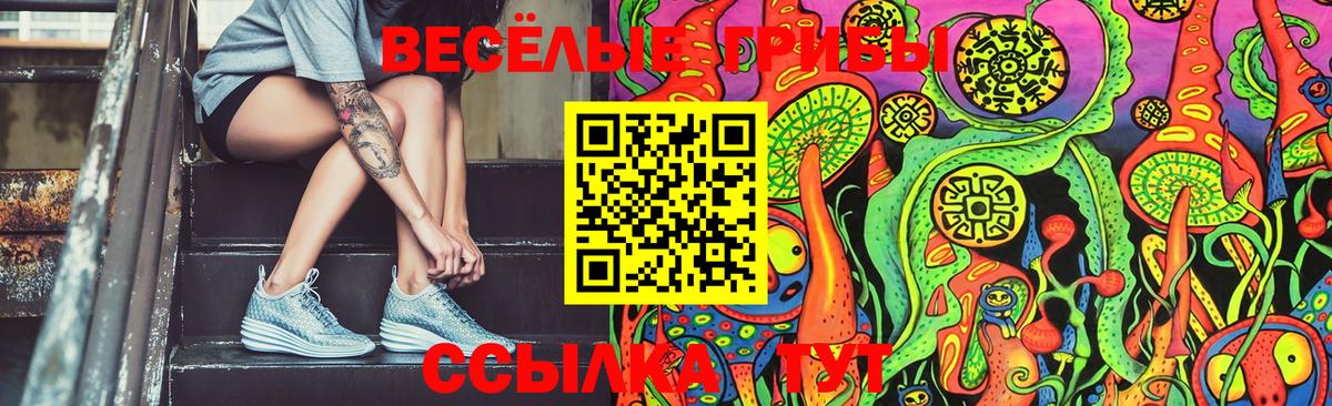 Псилоцибиновые грибы Psilocybine cubensis Чита